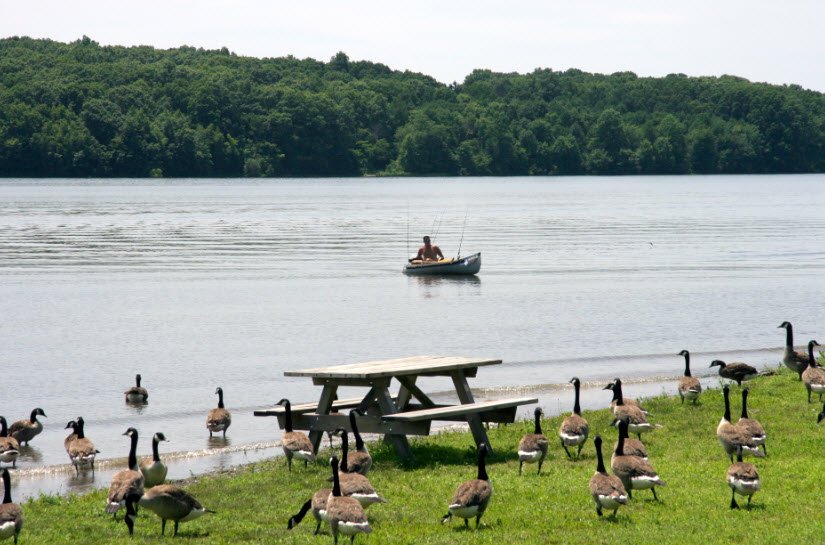 Nockamixon State Park, Pennsylvania, USA